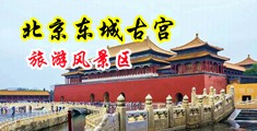 欧美操B图中国北京-东城古宫旅游风景区